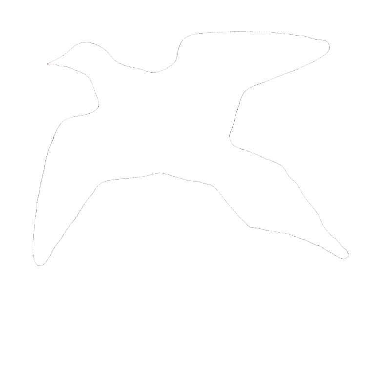 Senses Five Press